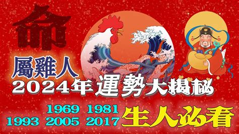 1993屬雞2024運勢|1993年屬雞人2024年全年運勢詳解 31歲生肖雞2024年每月運勢